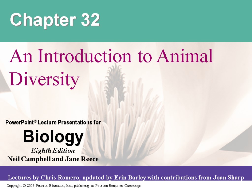 Chapter 32 An Introduction to Animal Diversity